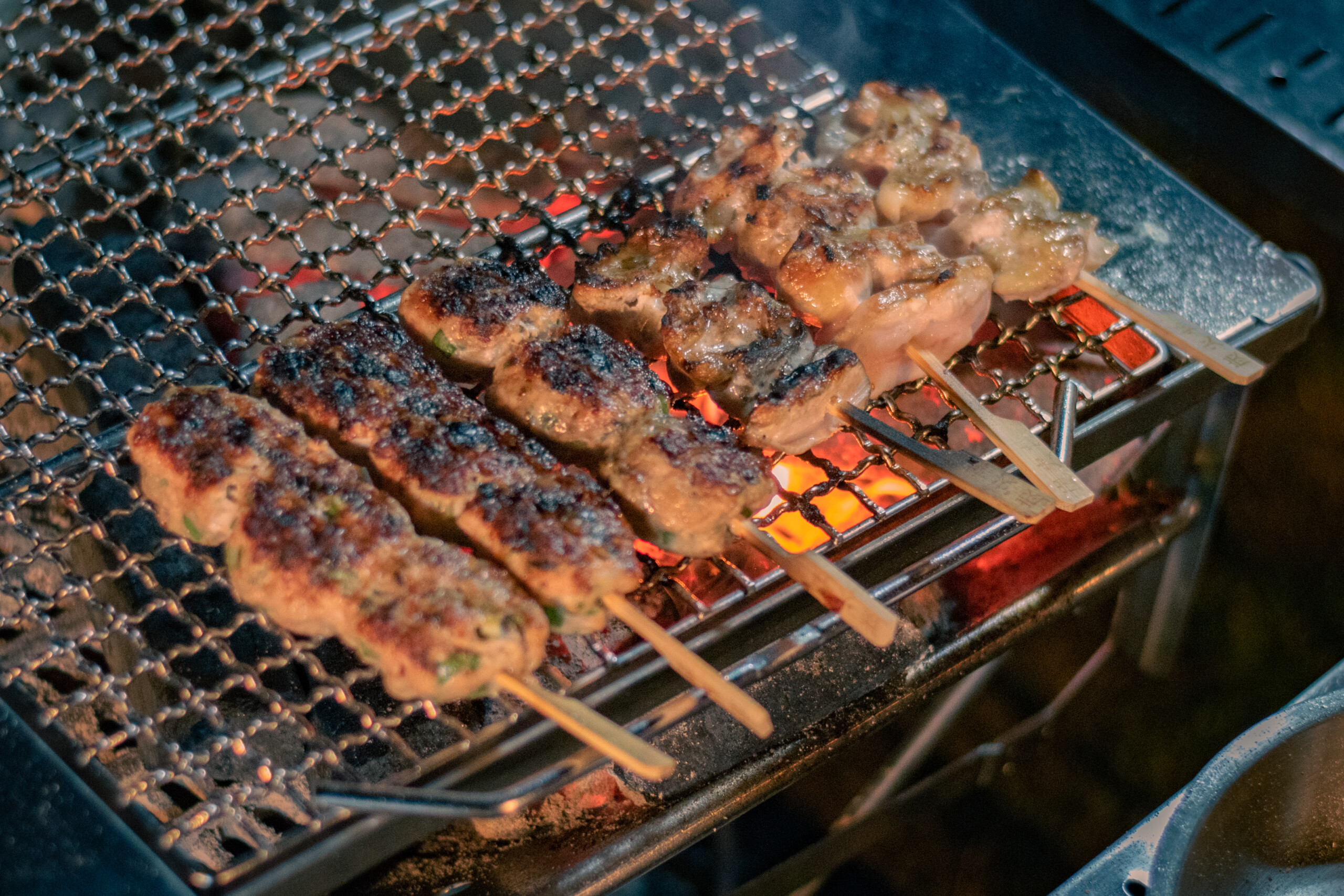 日本のソウルフード♫キャンプで焼き鳥を焼いてみた！ - STRAYCATS