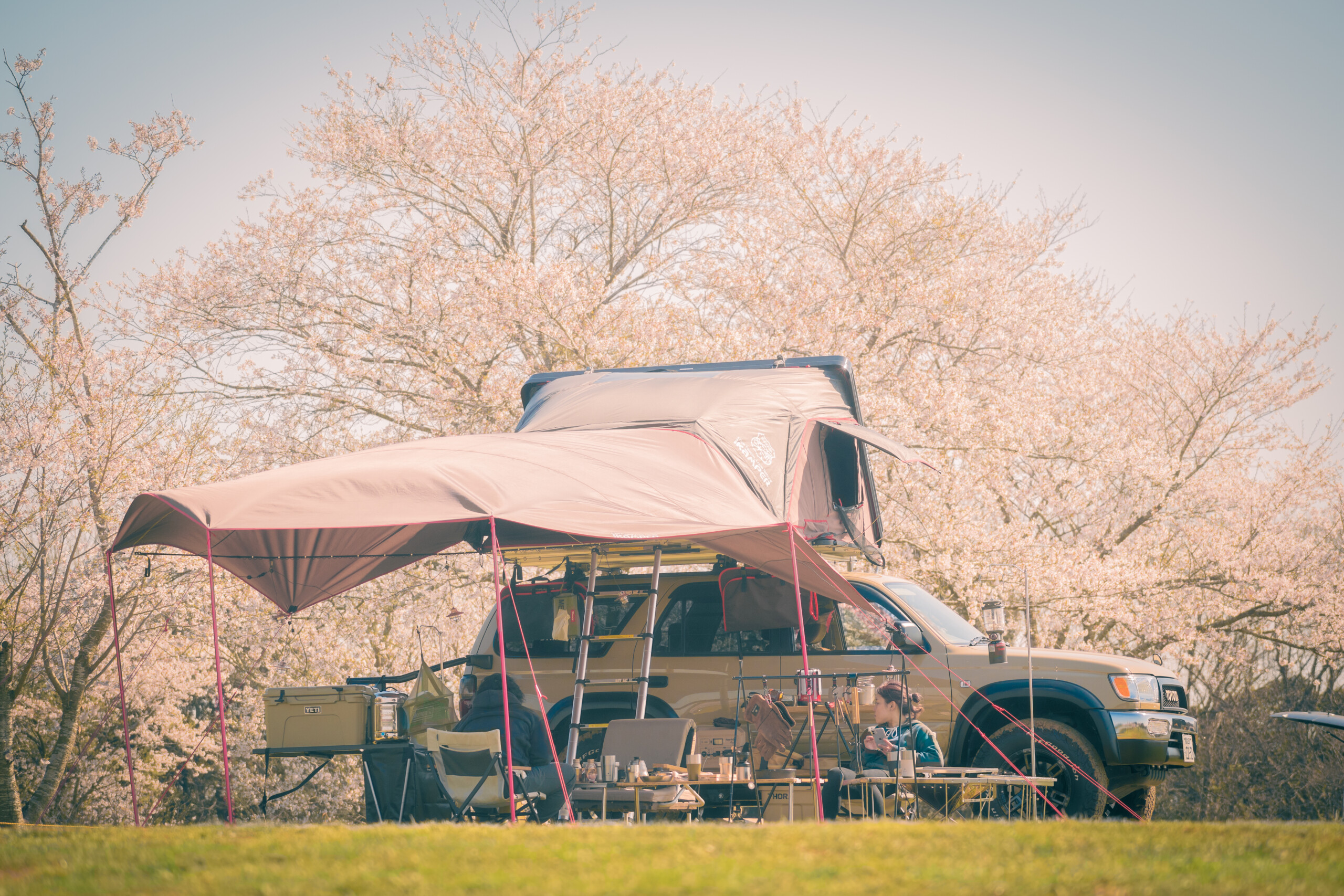 花見の名所！ 成田ゆめ牧場ファミリーオートキャンプ場レビュー