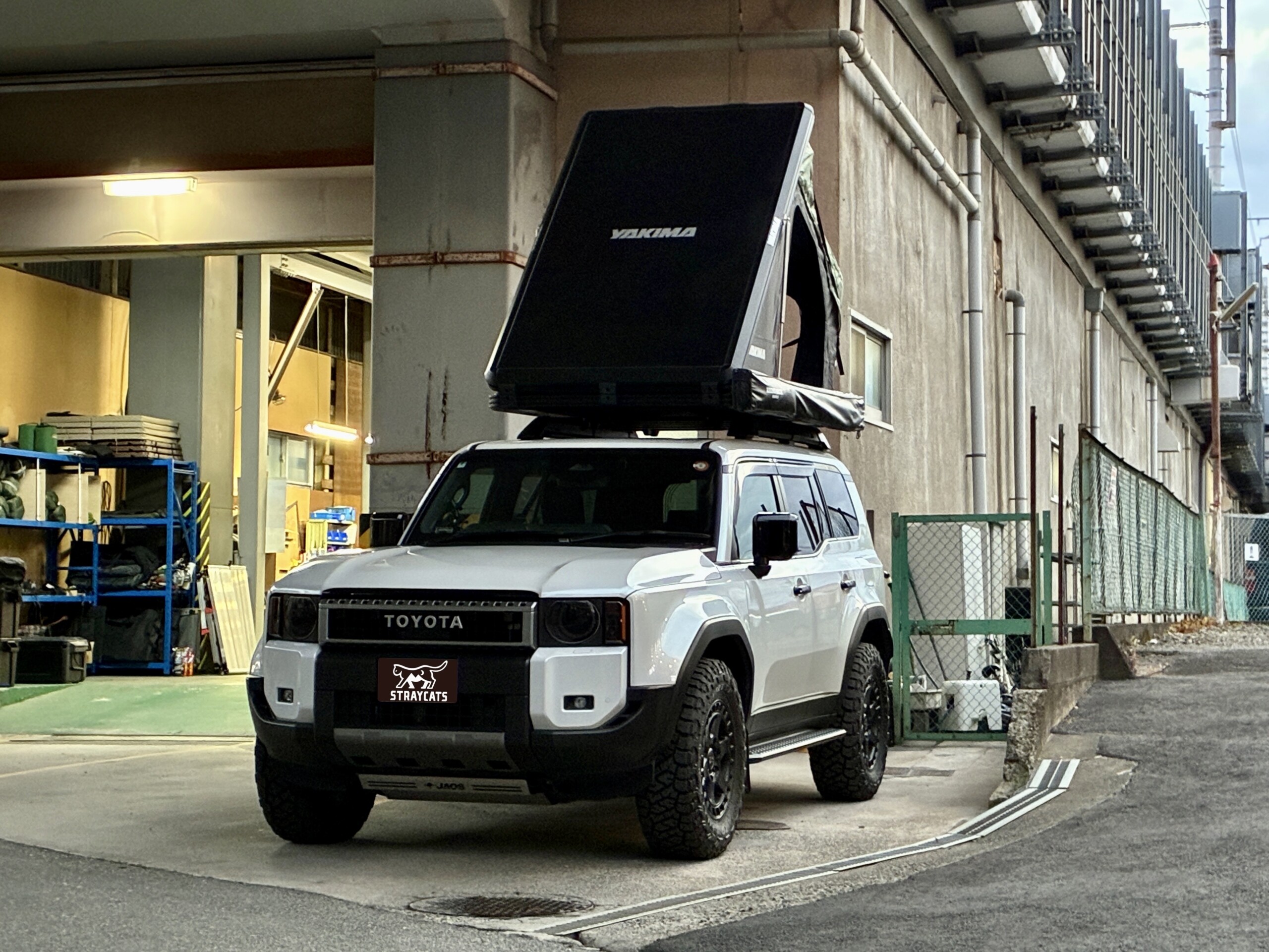 S__216186908_0-scaled.jpg